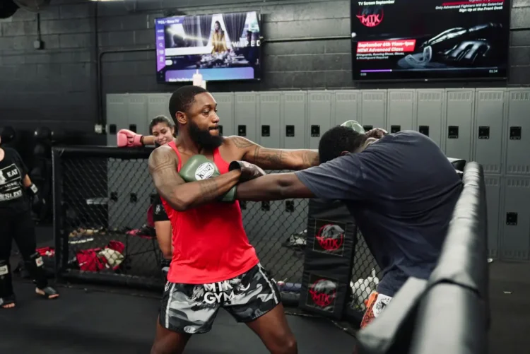 Jak wybrać idealne rękawice MMA?